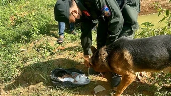 Cảnh khuyển giúp công an tìm thấy 2,5 kg ma túy các nghi phạm cất giấu