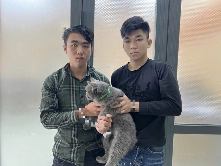 Cảnh sát hình sự bắt 3 người trộm chó bandog và mèo lông xám ở TP.HCM Cảnh sát hình sự bắt 3 người trộm chó bandog và mèo lông xám ở TP.HCM