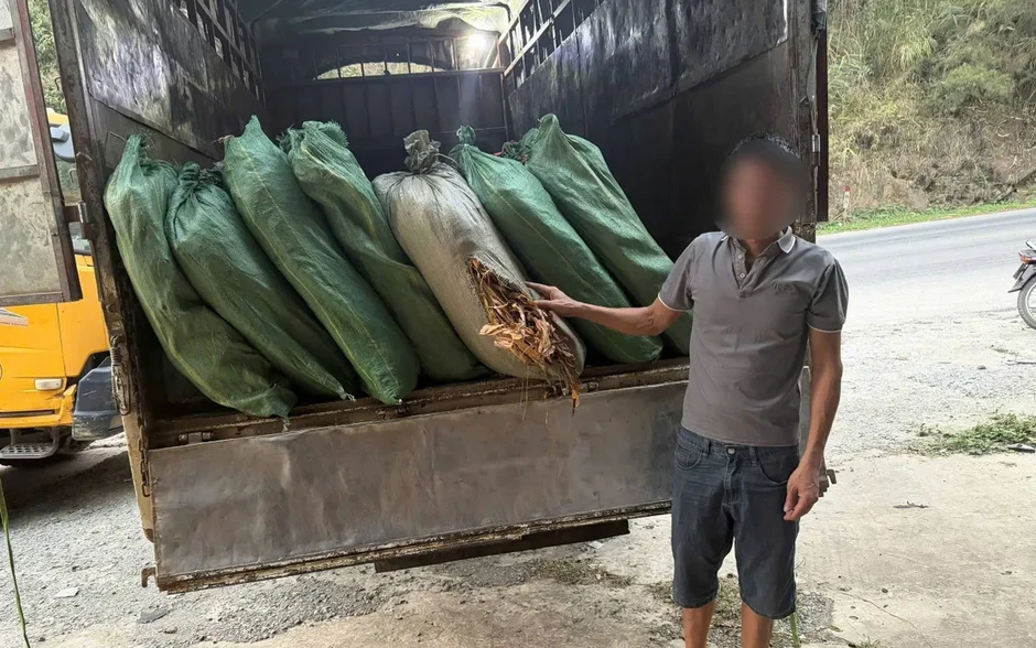 Cao Bằng: Phát hiện, thu giữ hơn 5 tấn nguyên liệu thuốc lá không rõ nguồn gốc Cao Bằng: Phát hiện, thu giữ hơn 5 tấn nguyên liệu thuốc lá không rõ nguồn gốc