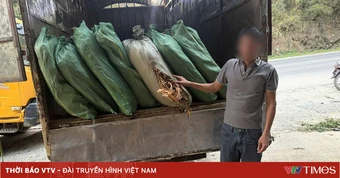 Cao Bằng: Phát hiện, thu giữ hơn 5 tấn nguyên liệu thuốc lá không rõ nguồn gốc