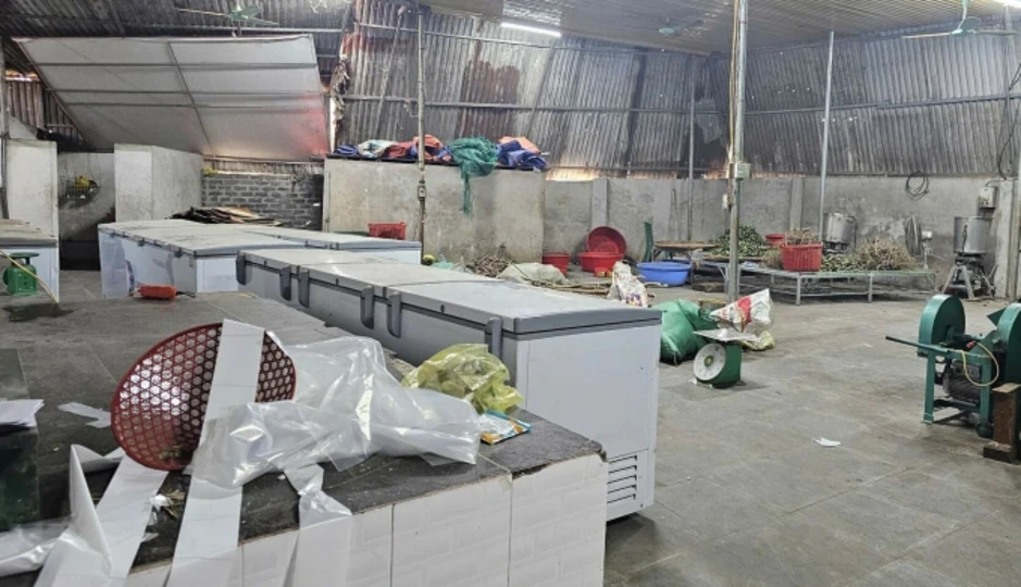 Chiêu biến cỏ dại thành 'thần dược' của hệ thống đông y Hoàng Minh Đường Chiêu biến cỏ dại thành 'thần dược' của hệ thống đông y Hoàng Minh Đường