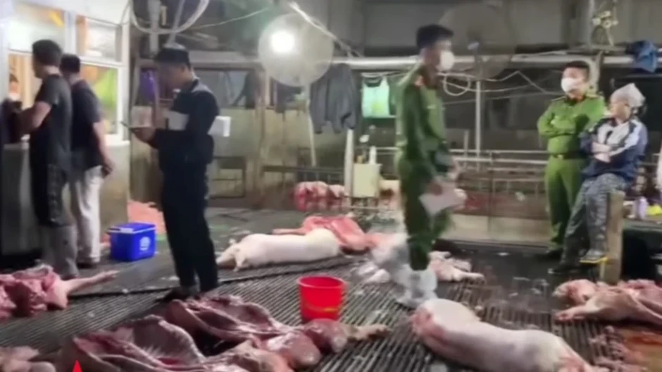 Chiêu trò của nữ chủ lò mổ và những cán bộ thú y 'nhận tiền' trong vụ 300 tấn lợn dịch bệnh Chiêu trò của nữ chủ lò mổ và những cán bộ thú y 'nhận tiền' trong vụ 300 tấn lợn dịch bệnh