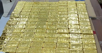 Choáng ngợp số bất động sản, vàng, ngoại tệ Mr Pips mua từ tiền lừa đảo
