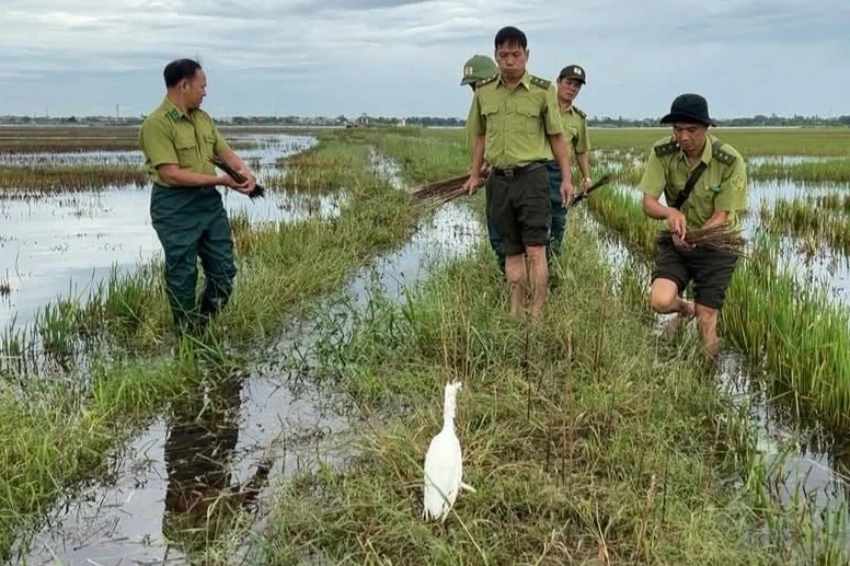 Chủ quán lên mạng mời khách đến thưởng thức thịt chim trời Chủ quán lên mạng mời khách đến thưởng thức thịt chim trời