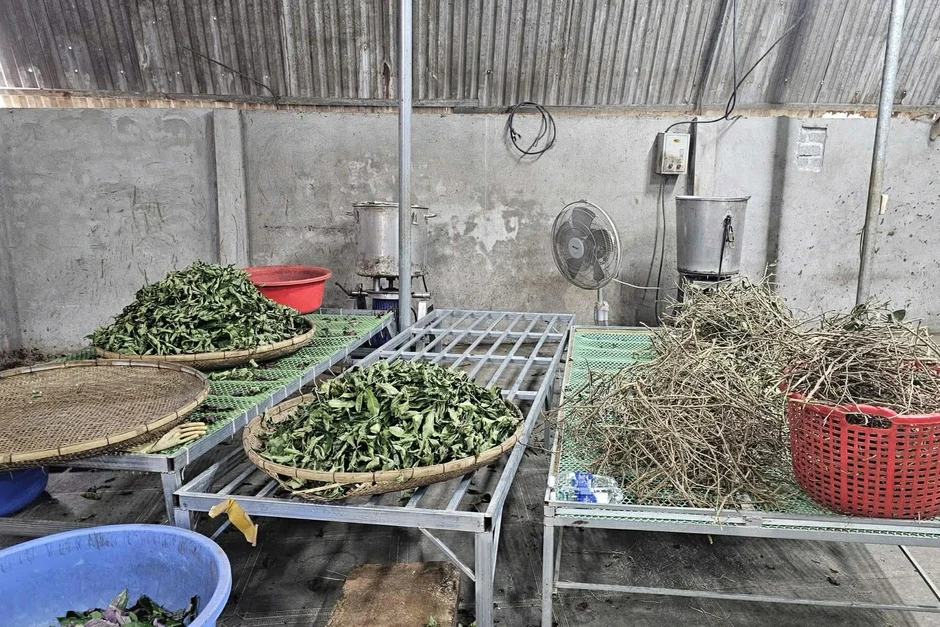 Cơ sở bán thuốc gia truyền Hoàng Minh Đường từng bị xử phạt 82 triệu đồng Cơ sở bán thuốc gia truyền Hoàng Minh Đường từng bị xử phạt 82 triệu đồng