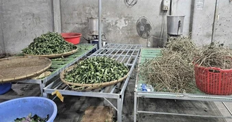 Cơ sở bán thuốc gia truyền Hoàng Minh Đường từng bị xử phạt 82 triệu đồng
