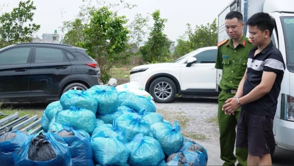 Cơ sở mỗi ngày bán 700 kg giá đỗ dùng hormone tăng trưởng bị phát hiện Cơ sở mỗi ngày bán 700 kg giá đỗ dùng hormone tăng trưởng bị phát hiện