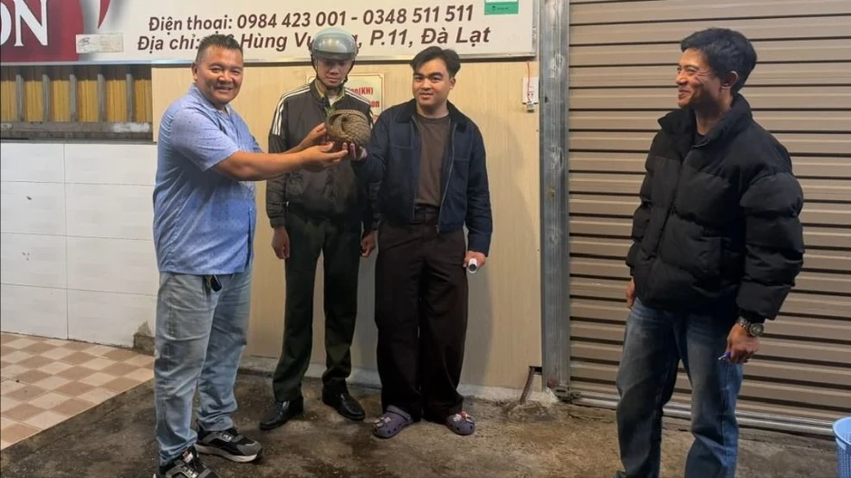 Con tê tê quý hiếm bò vào quán nhậu ở Đà Lạt Con tê tê quý hiếm bò vào quán nhậu ở Đà Lạt