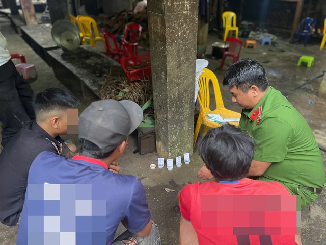 Công an bất ngờ kiểm tra 39 người tại các vườn sâm Ngọc Linh