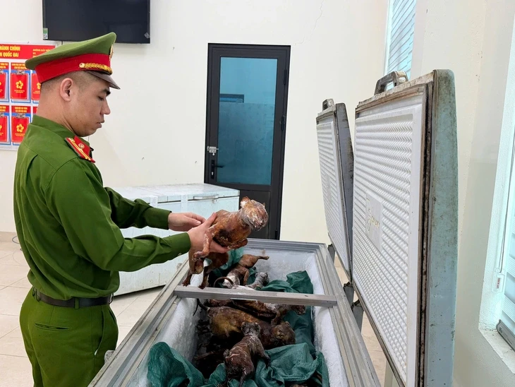 Công an bắt nhóm trộm hơn 300 con mèo ở Hà Nội