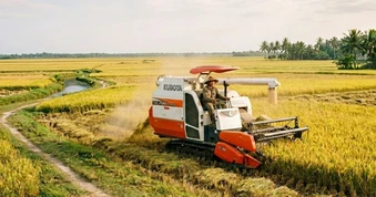Công an cảnh báo tình trạng “bảo kê” máy gặt lúa