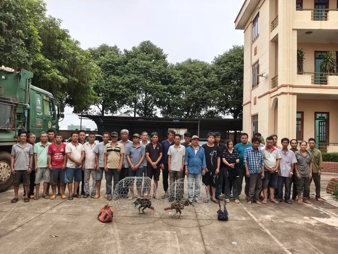 Công an Gia Lai dùng flycam đột kích sới gà quy mô lớn giữa rẫy hoang Công an Gia Lai dùng flycam đột kích sới gà quy mô lớn giữa rẫy hoang