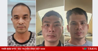 Công an Hà Nội triệt phá ổ nhóm trộm cắp, tiêu thụ hơn 300 con mèo