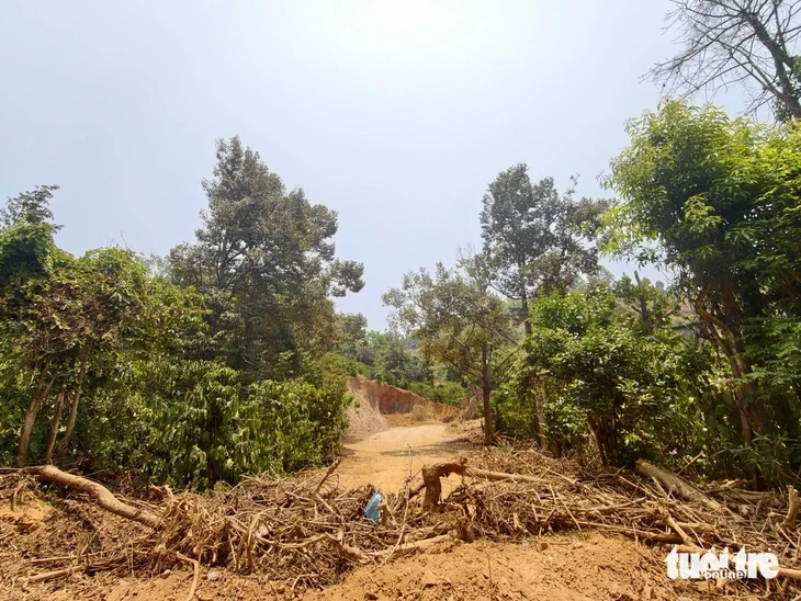 Công an tỉnh Đắk Lắk điều tra vụ múc đất nông nghiệp đem bán Công an tỉnh Đắk Lắk điều tra vụ múc đất nông nghiệp đem bán