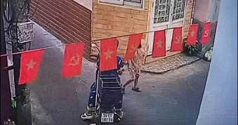 Công an TP.HCM mời làm việc một phụ nữ trộm mèo cảnh