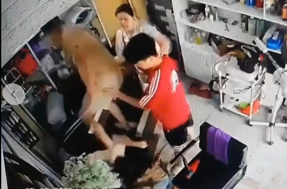 Công an vào cuộc vụ người phụ nữ ôm con nhỏ bị hành hung ở Hà Nội Công an vào cuộc vụ người phụ nữ ôm con nhỏ bị hành hung ở Hà Nội
