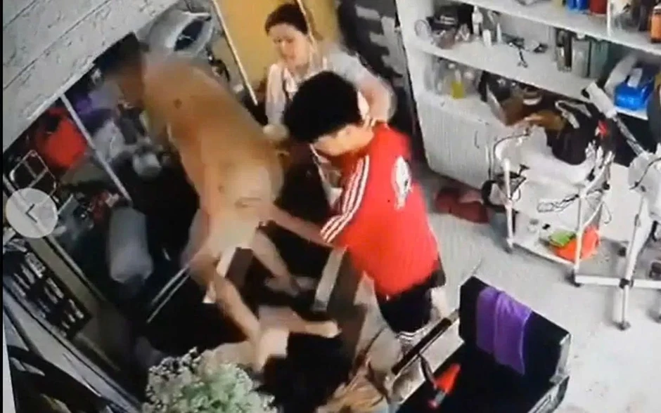 Công an xác minh vụ người phụ nữ ôm con nhỏ bị hành hung tại Hà Nội Công an xác minh vụ người phụ nữ ôm con nhỏ bị hành hung tại Hà Nội