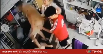 Công an xác minh vụ người phụ nữ ôm con nhỏ bị hành hung tại Hà Nội