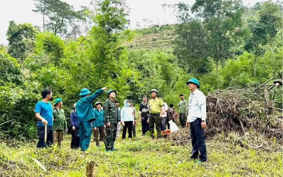 Cưỡng chế, khôi phục hơn 7,3ha đất lâm nghiệp bị lấn chiếm ở Lâm Đồng Cưỡng chế, khôi phục hơn 7,3ha đất lâm nghiệp bị lấn chiếm ở Lâm Đồng