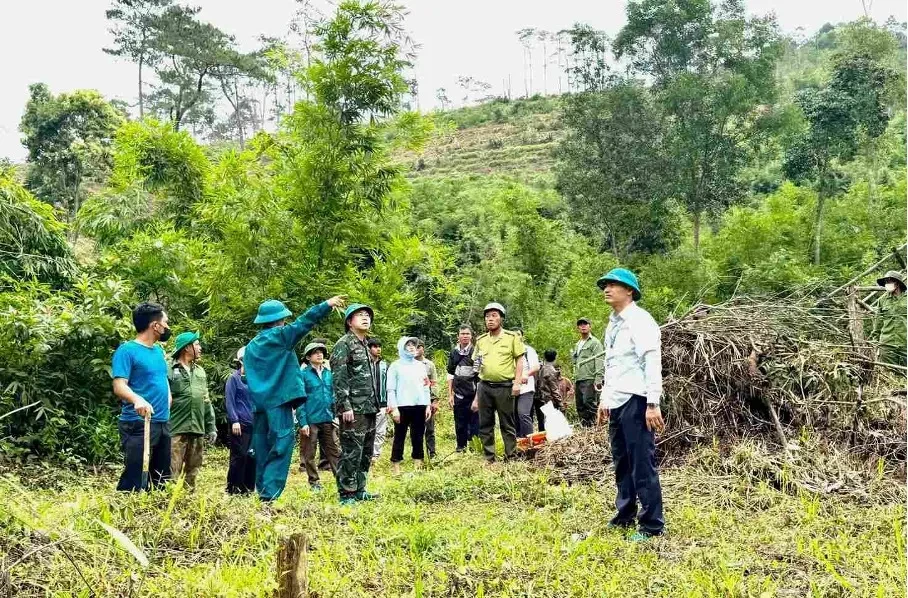 Cưỡng chế, khôi phục hơn 7,3ha đất lâm nghiệp bị lấn chiếm ở Lâm Đồng Cưỡng chế, khôi phục hơn 7,3ha đất lâm nghiệp bị lấn chiếm ở Lâm Đồng