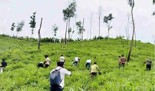 Cưỡng chế, khôi phục hơn 7,3ha đất lâm nghiệp bị lấn chiếm ở Lâm Đồng Cưỡng chế, khôi phục hơn 7,3ha đất lâm nghiệp bị lấn chiếm ở Lâm Đồng