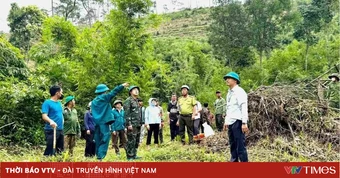 Cưỡng chế, khôi phục hơn 7,3ha đất lâm nghiệp bị lấn chiếm ở Lâm Đồng