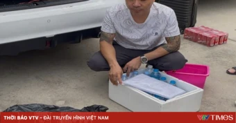 Cướp giật 2,4 kg vàng của người nước ngoài, nhóm 4 bị can sa lưới