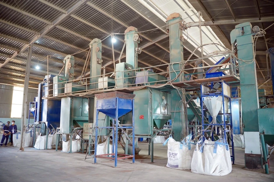 Cựu công chức hải quan 'phù phép' để buôn lậu trót lọt 1.033 container quặng titan Cựu công chức hải quan 'phù phép' để buôn lậu trót lọt 1.033 container quặng titan