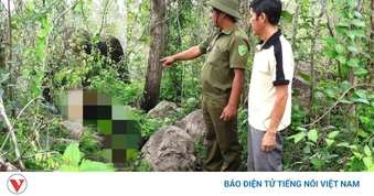 Đắk Lắk điều tra vụ phát hiện bộ xương người trên đồi đá