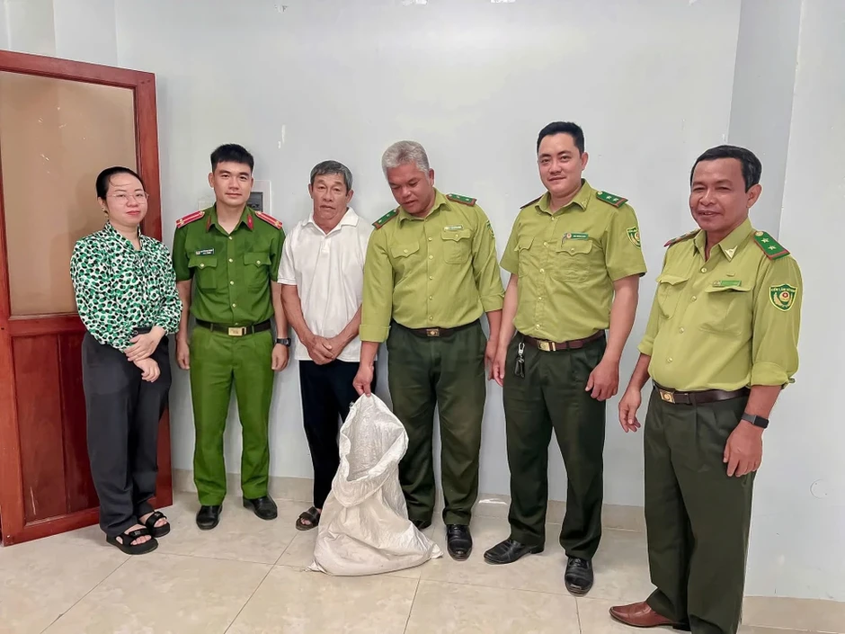 Đang làm vườn phát hiện trăn đất quý hiếm Đang làm vườn phát hiện trăn đất quý hiếm