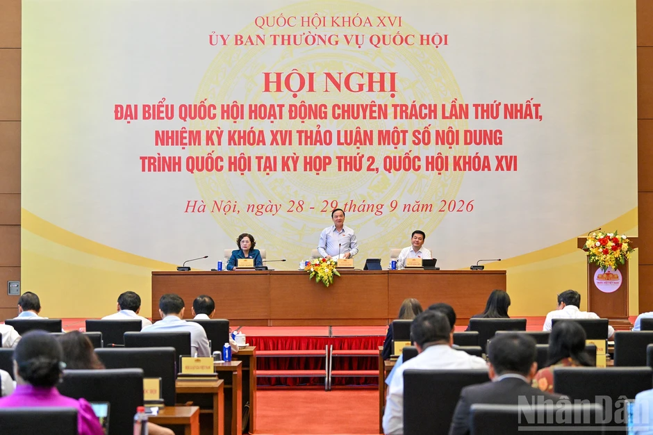 Đánh giá kỹ lưỡng về mức phạt tiền tối đa trong xử phạt vi phạm hành chính Đánh giá kỹ lưỡng về mức phạt tiền tối đa trong xử phạt vi phạm hành chính