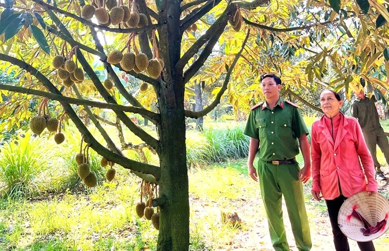 Đấu tranh, phòng ngừa tội phạm trộm cắp tài sản tại Lâm Đồng Đấu tranh, phòng ngừa tội phạm trộm cắp tài sản tại Lâm Đồng