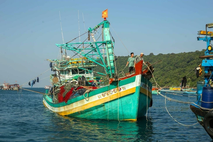 Đề xuất phạt tới 1 tỉ đồng nếu che giấu, giả mạo chứng cứ khai thác thủy sản bất hợp pháp