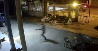 Đi ô tô, xông vào nhà dân bắt trộm chó ở TPHCM