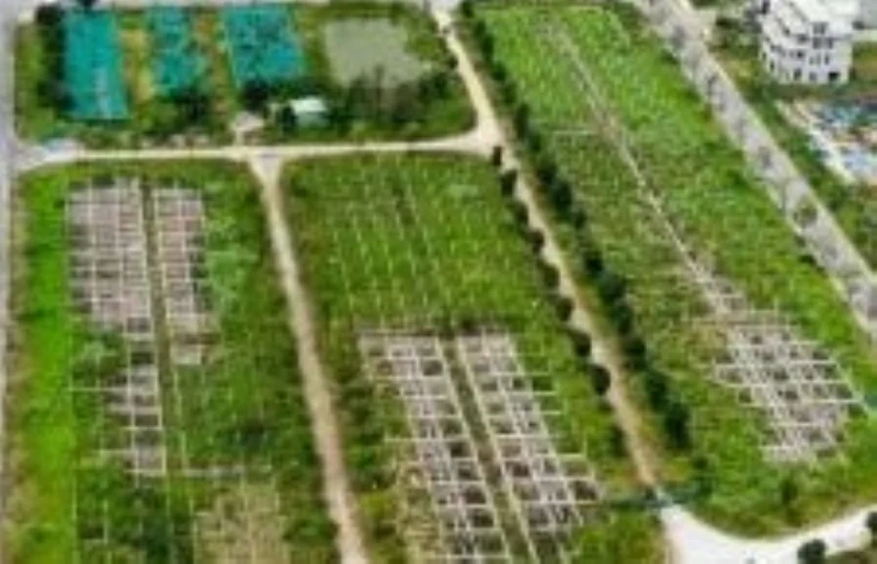 Điều tra mở rộng vụ lừa đảo mua bán đất nền dự án tại Công ty Đại Phúc Real Điều tra mở rộng vụ lừa đảo mua bán đất nền dự án tại Công ty Đại Phúc Real
