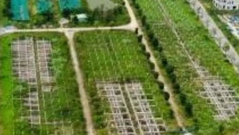 Điều tra mở rộng vụ lừa đảo mua bán đất nền dự án tại Công ty Đại Phúc Real