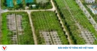 Điều tra mở rộng vụ lừa đảo mua bán đất nền "dự án" tại Công ty Đại Phúc Real