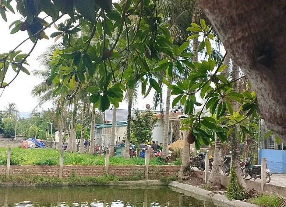 Điều tra vụ bố đẻ dùng dao làm con trai tử vong sau mâu thuẫn gia đình ở Điện Biên Điều tra vụ bố đẻ dùng dao làm con trai tử vong sau mâu thuẫn gia đình ở Điện Biên