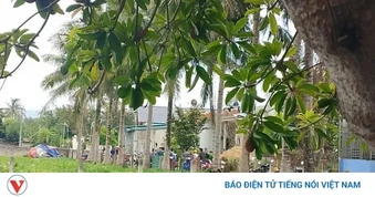 Điều tra vụ bố đẻ dùng dao làm con trai tử vong sau mâu thuẫn gia đình ở Điện Biên