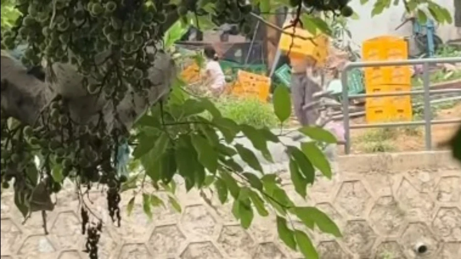 Đổ vỏ chai bia xuống sông, người đàn ông bị buộc phải nhặt lại Đổ vỏ chai bia xuống sông, người đàn ông bị buộc phải nhặt lại