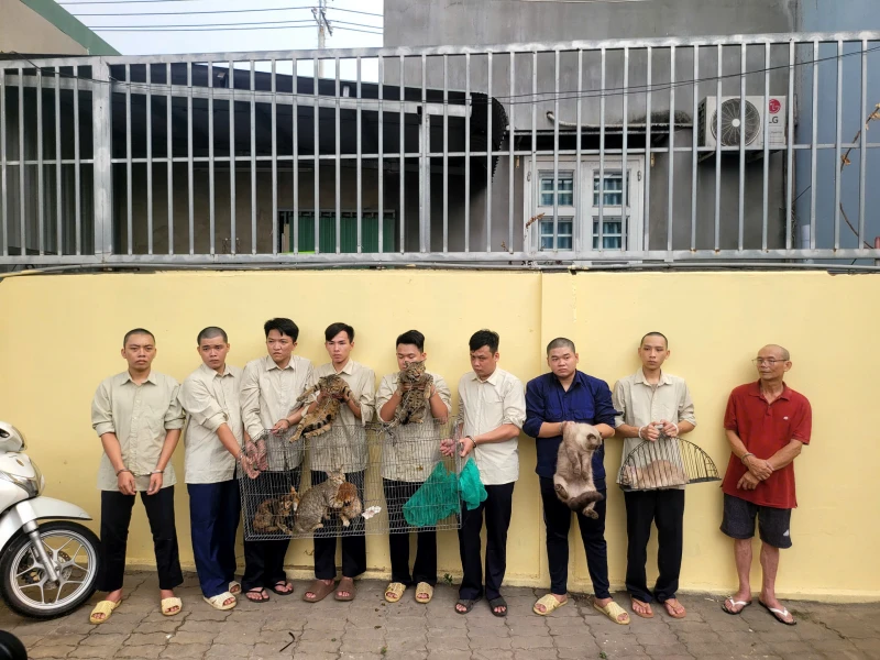 Đối tượng cuối cùng trong nhóm “dơi đêm” săn trộm mèo đã ra đầu thú Đối tượng cuối cùng trong nhóm “dơi đêm” săn trộm mèo đã ra đầu thú