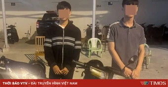 Đột nhập ô tô trộm tài sản hơn 500 triệu đồng, 2 thiếu niên sa lưới