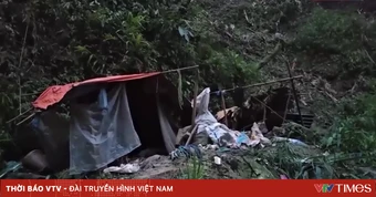 Dựng lán trong rừng sâu để mua bán, sử dụng ma túy tập thể
