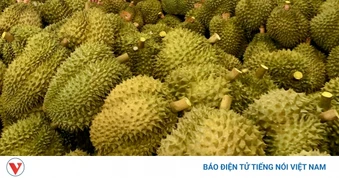 Đường dây buôn lậu thuốc nhúng sầu riêng trị giá hơn 4,5 tỷ đồng bị khởi tố