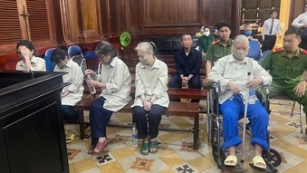 Em trai và cháu gái “đại gia” Hứa Thị Phấn ra tòa