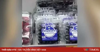 Gần 19 tấn việt quất nhập lậu được hợp thức hóa nguồn gốc để vào siêu thị