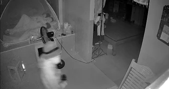 Gia đình ngủ say, kẻ trộm vào nhà cuỗm thùng tiền mừng cưới