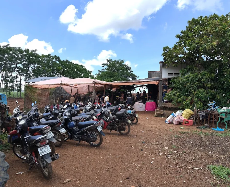 Gia Lai: Đột kích sới gà, bắt giữ 31 đối tượng Gia Lai: Đột kích sới gà, bắt giữ 31 đối tượng