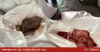 Gia Lai: Tạm giữ hơn 2 tấn mỡ, da động vật không rõ nguồn gốc