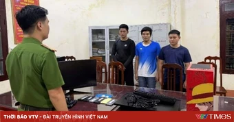 Giả mạo website trò chơi điện tử trực tuyến, lừa đảo chiếm đoạt hơn 500 triệu đồng